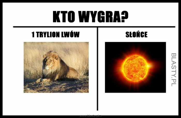 Kto wygra 1trylion lwów vs słońce