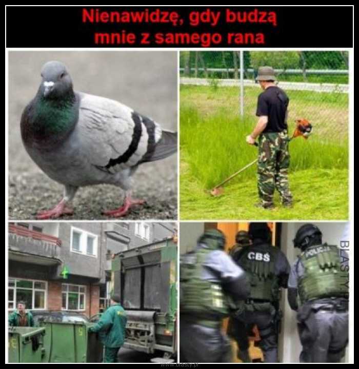 Nienawidzę gdy budzą mnie z samego rana