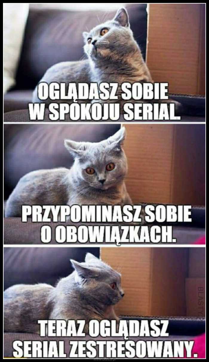 Oglądasz sobie w spokoju serial, przypominasz sobie o obowiązkach