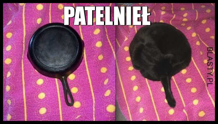 Patelnieł