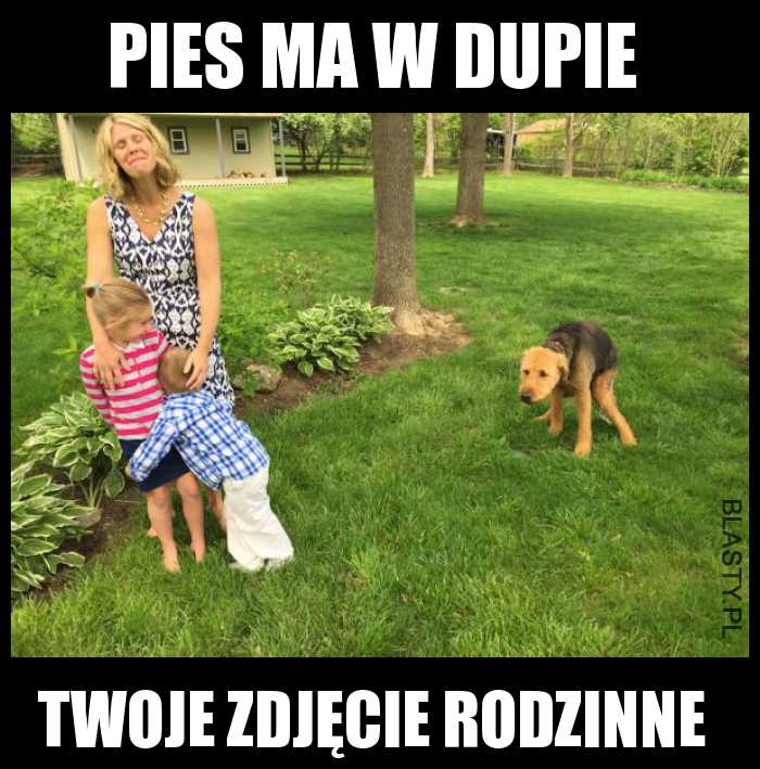 Psy takie są