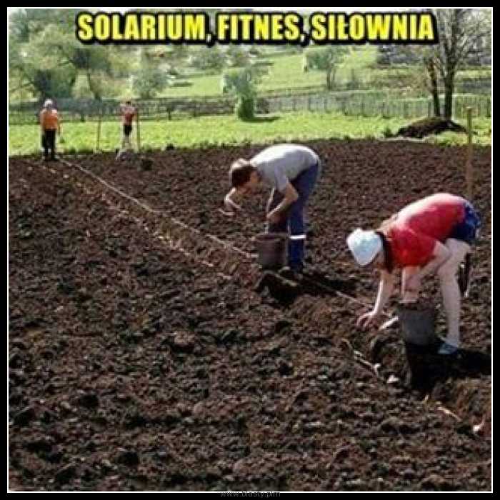 Solarium fitnes i siłownia