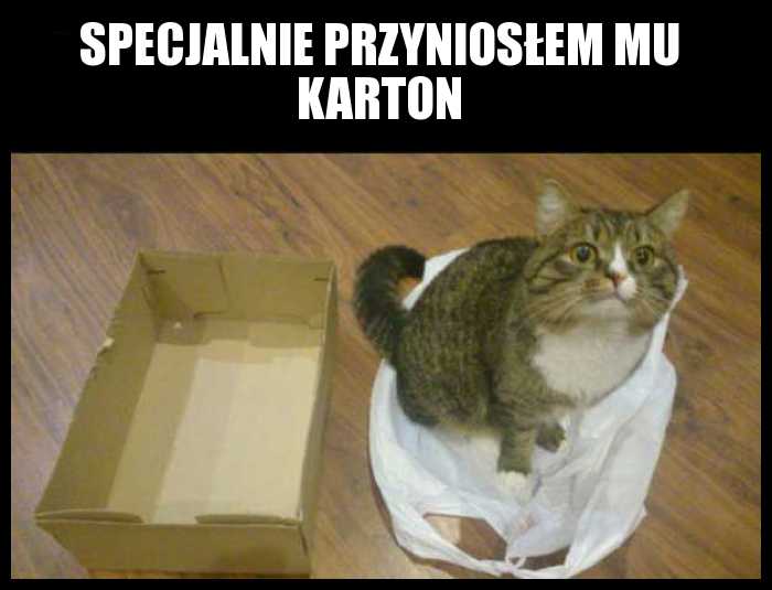 Specjalnie przyniosłem mu karton