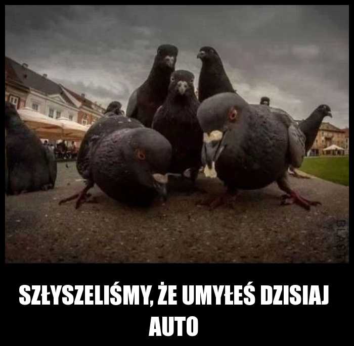 Szłyszeliśmy, że umyłeś dzisiaj auto