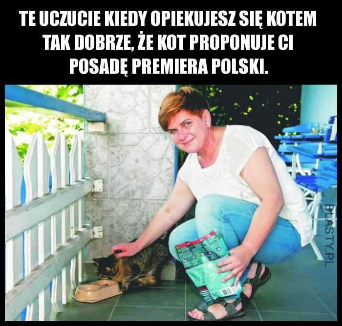 te uczucie kiedy opiekujesz się kotem tak dobrze, że