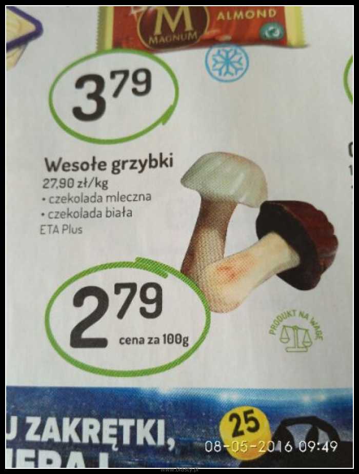 Wesołe grzybki