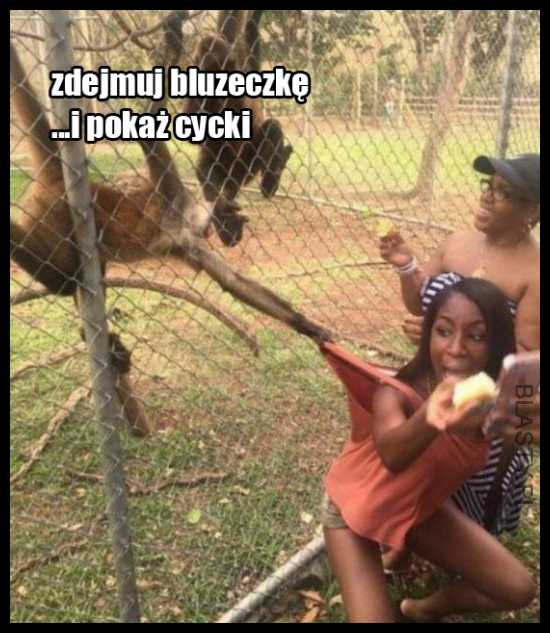 Zdejmuj bluzeczkę i...