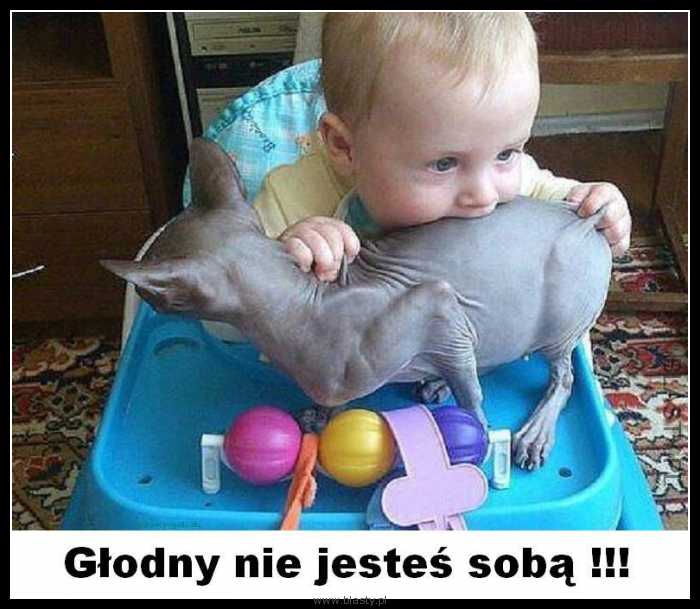 Głodny nie jesteś sobą