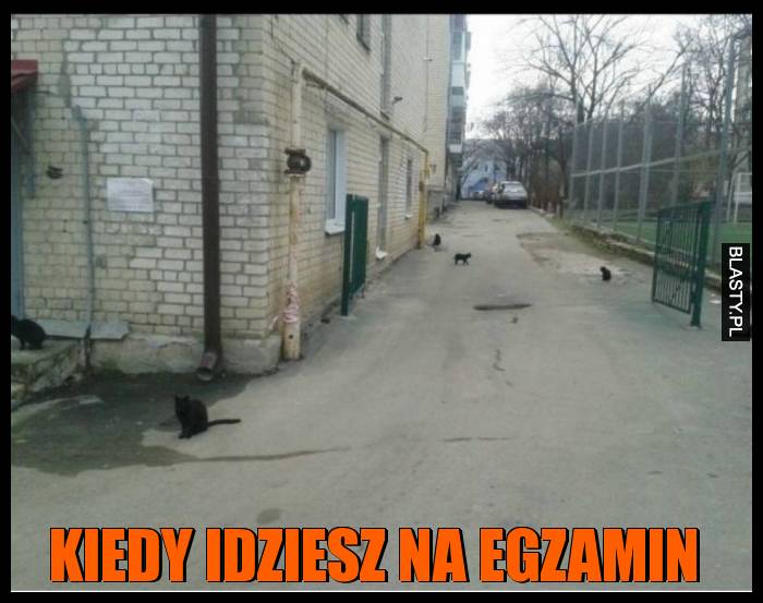 Kiedy idziesz na egzamin