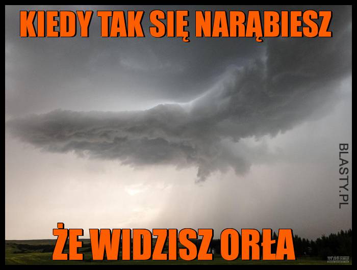 Kiedy tak się narąbiesz, że widzisz orła