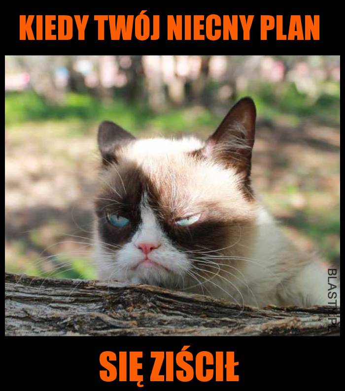 Kiedy twój niecny plan się ziścił