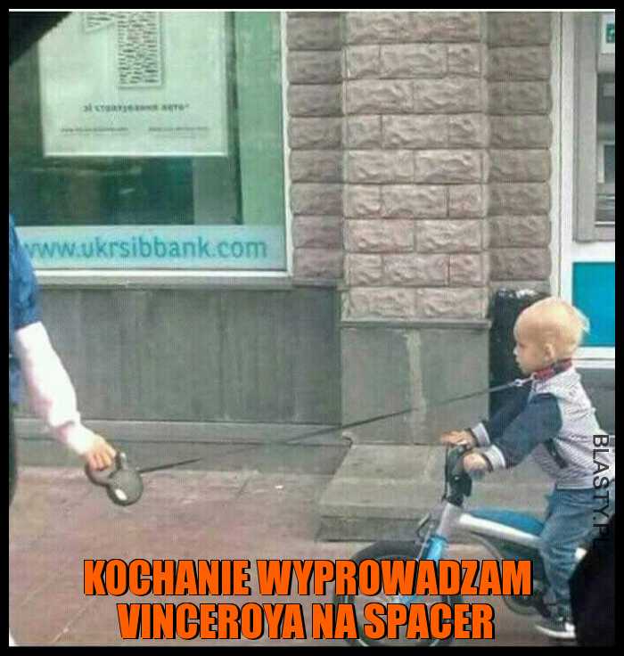 Kochanie wyprowadzam Vinceroya na spacer