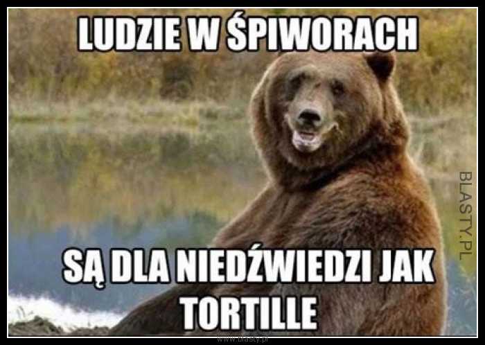 Ludzie w śpiworach są dla niedźwiedzi jak tortille