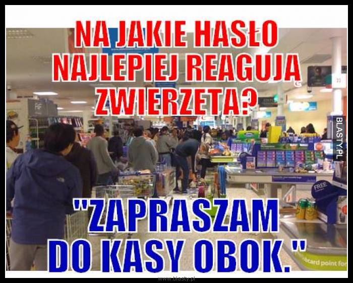 Na jakie hasło najlepiej reagują zwierzęta ? zapraszamy do kasy obok