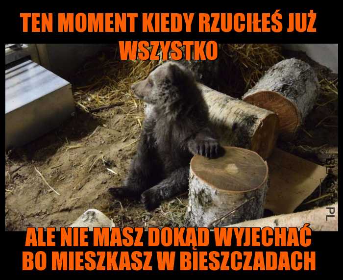 Ten moment kiedy rzuciłeś już wszystko, ale nie masz dokąd wyjechać bo mieszkasz w bieszczadach