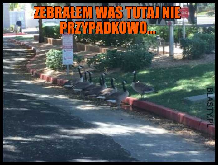 Zebrałem was tutaj nie przypadkowo...