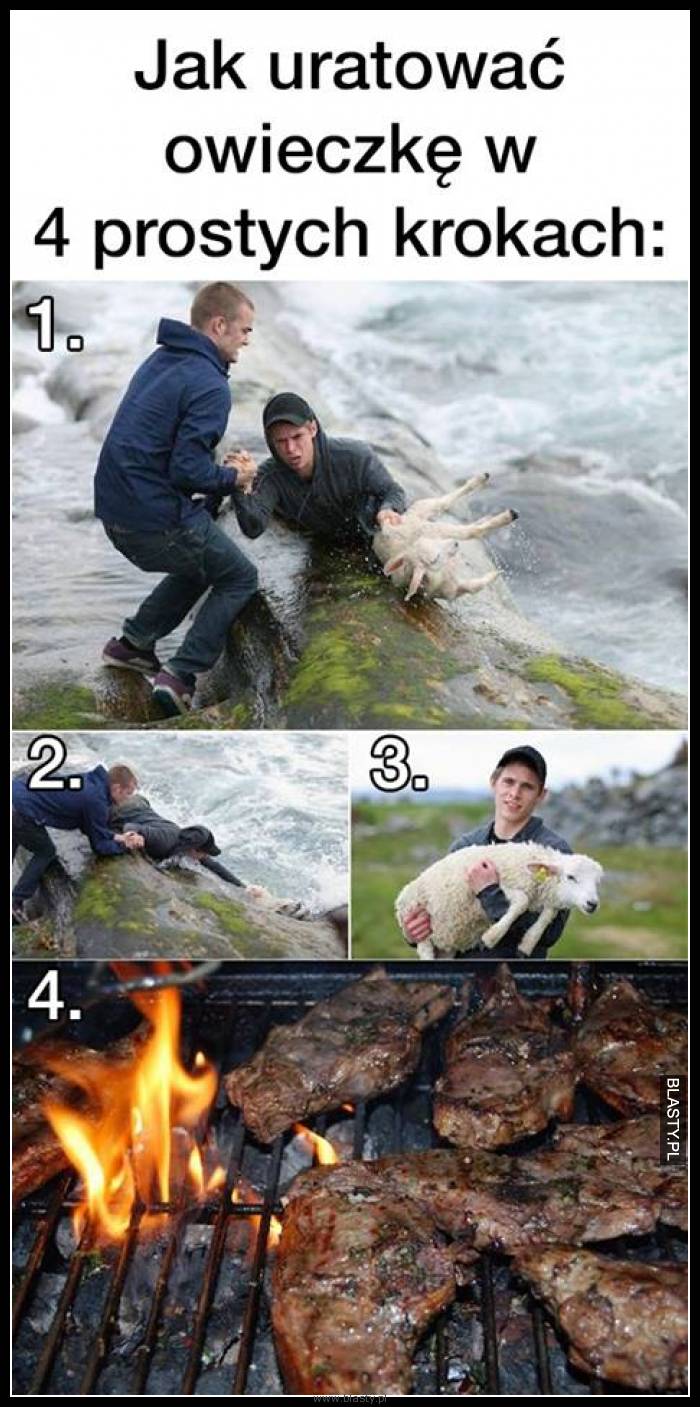 Jak uratować owieczke w 4 prostych sposobach