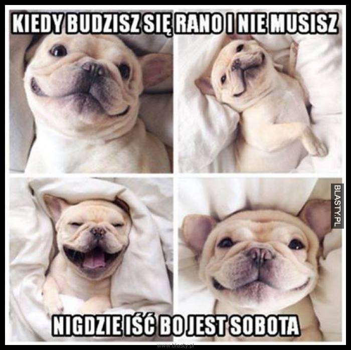 Kiedy budzisz się rano i nie musisz nigdzie iść bo jest sobota