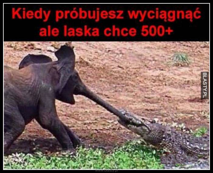 Kiedy próbujesz wyciągnąć ale laska chce 500+