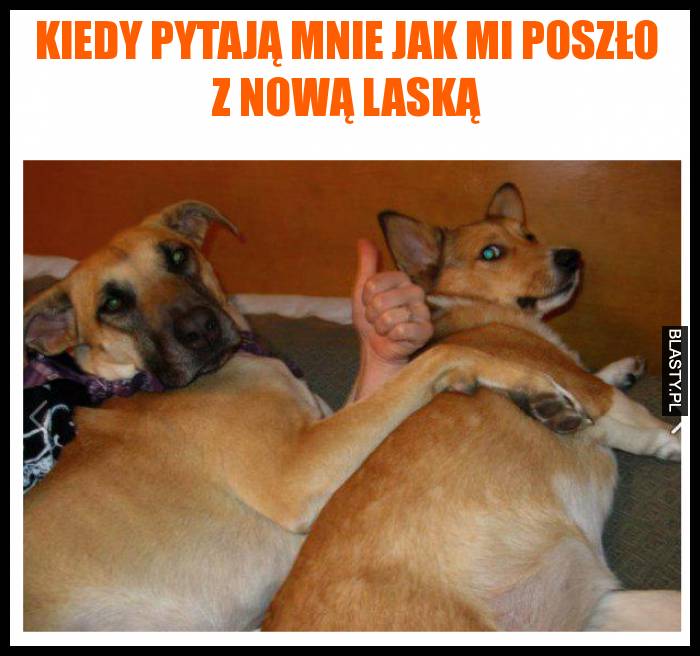 Kiedy pytają mnie jak mi poszło z nową laską