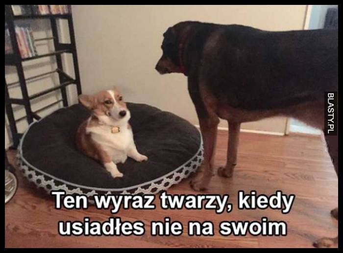 Kiedy usiądziesz nie na swoim miejscu