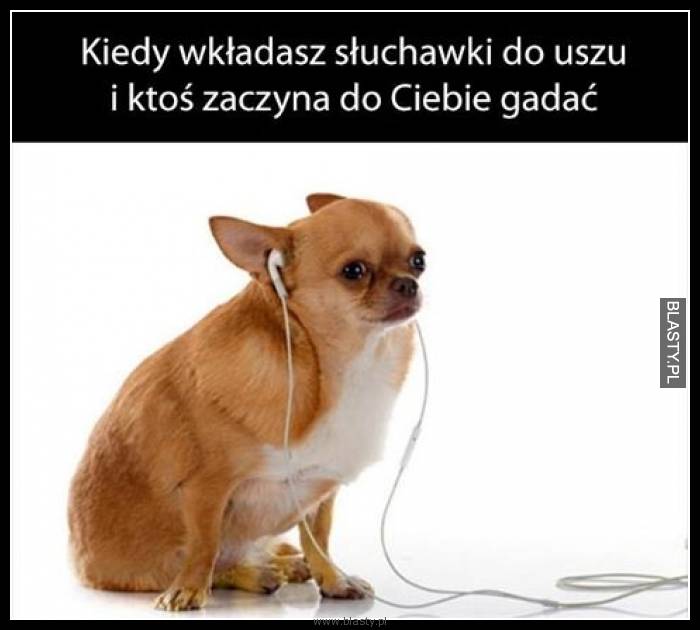 Kiedy wkładasz słuchawki do uszu i ktoś zaczyna do Ciebie gadać