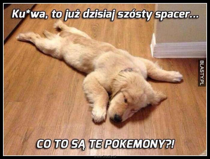 Kur.. to już dzisiaj szósty spacer co to są te pokemony