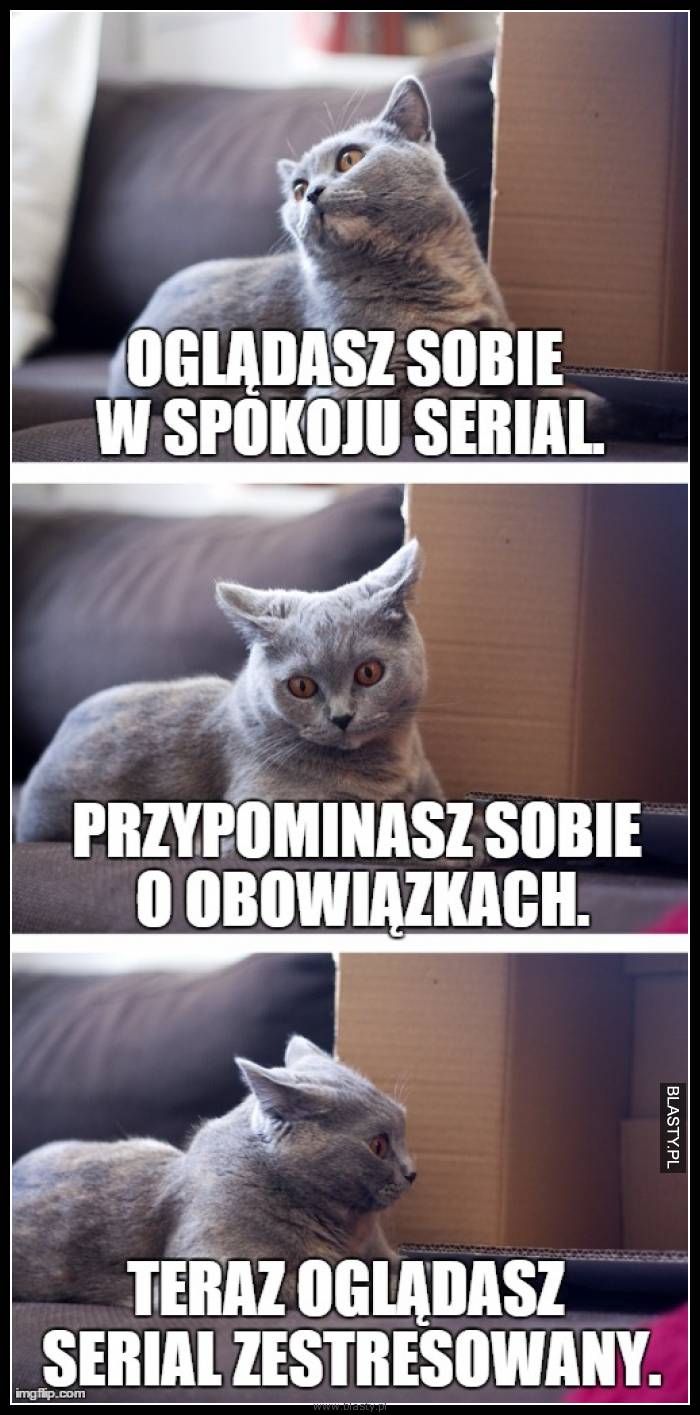 Oglądasz sobie w spokoju serial