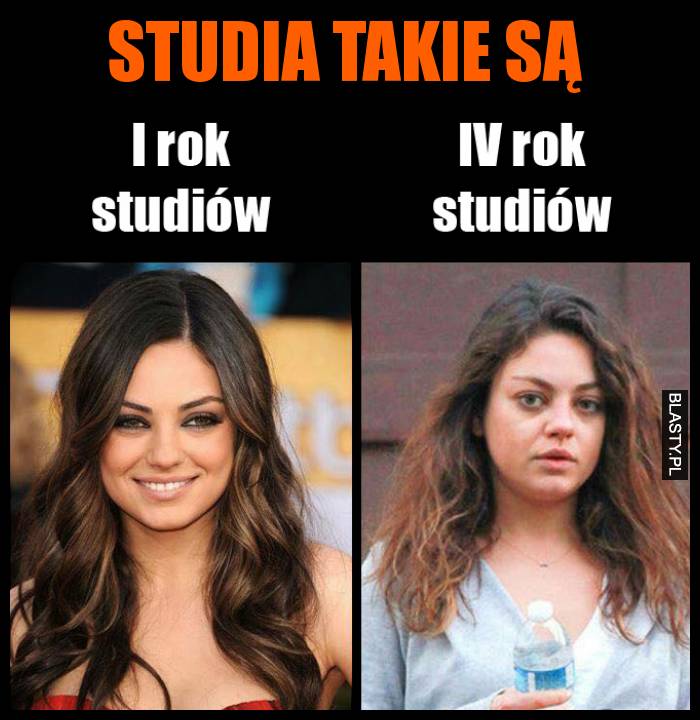 Studia takie są