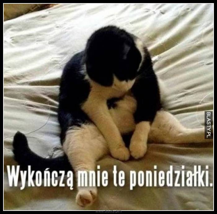 Wykończą mnie te poniedziałki