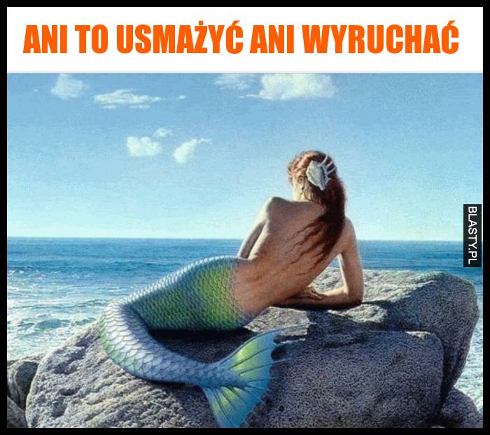 Ani to usmażyć ani wyruchać