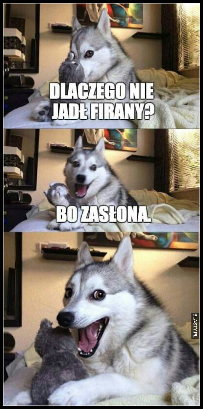 Dlaczego nie jesz firany bo jest zasłona