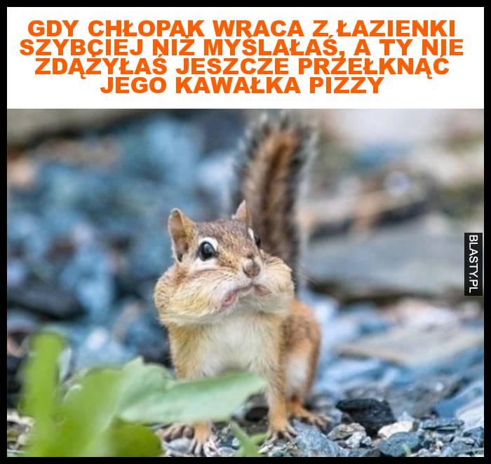 Gdy chłopak wraca z łazienki szybciej niż myślałaś, a ty nie zdążyłaś jeszcze przełknąć jego kawałka pizzy