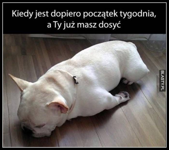 Kiedy jest dopiero początek tygodnia a Ty już masz dość