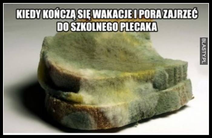 Kiedy kończą się wakacje i pora zajrzeć do szkolnego plecaka