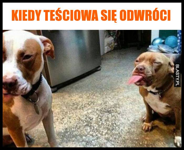 Kiedy teściowa się odwróci