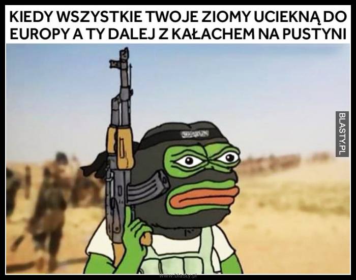 Kiedy wszystkie Twoje ziomy uciekną do europy a Ty dalej z kałachem na pustyni