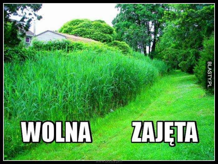 Kobieta wolna vs zajęta