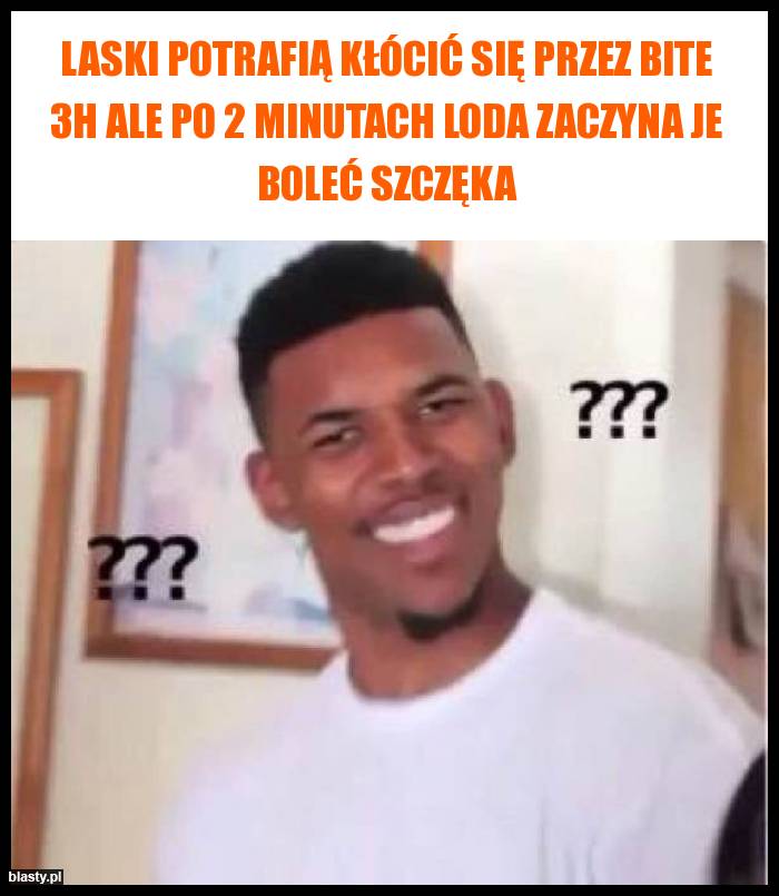 Laski potrafią kłócić się przez bite 3h ale po 2 minutach loda zaczyna je boleć szczęka