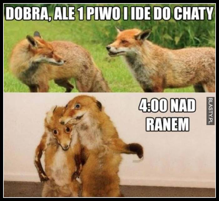 Doba ale 1 piwo i idę do chaty