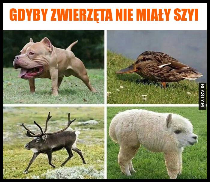 Gdyby zwierzęta nie miały szyi