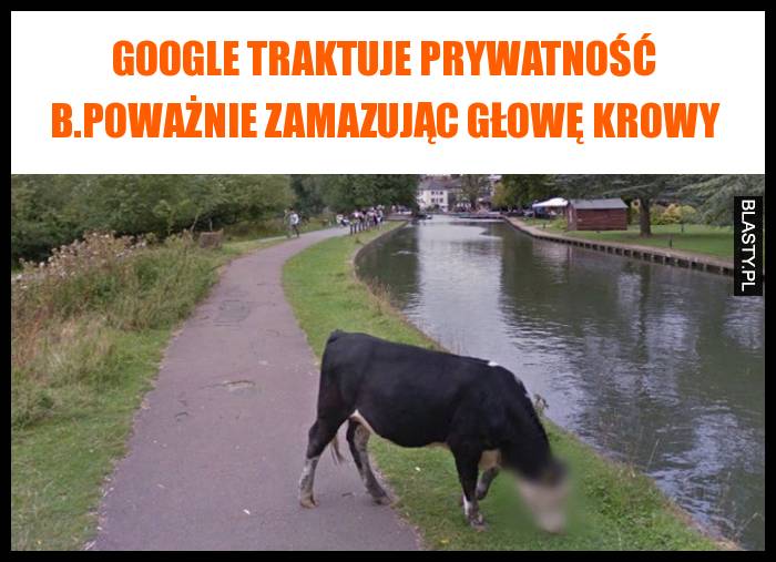 Google traktuje prywatność b.poważnie zamazując głowę krowy