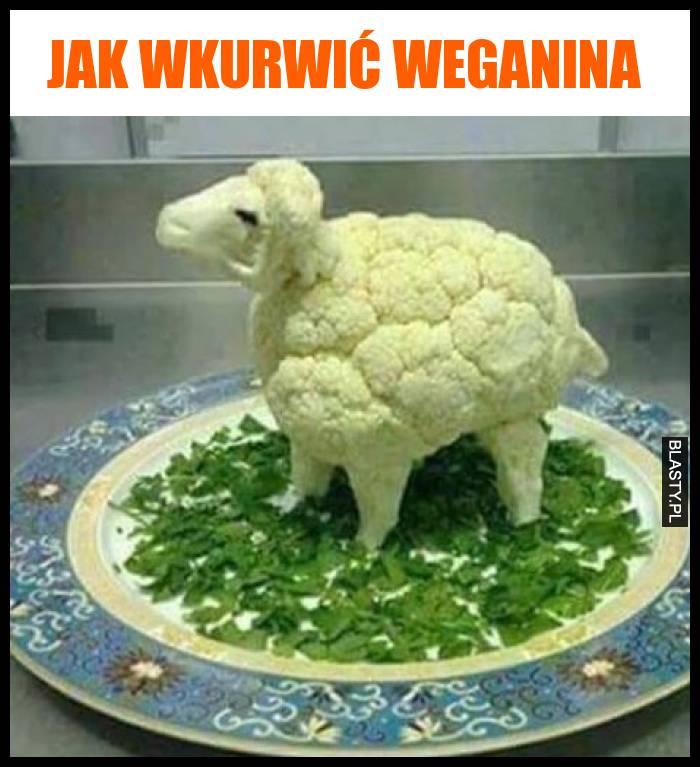 Jak wkurwić weganina