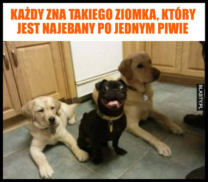 Każdy zna takiego ziomka, który jest najebany po jednym piwie