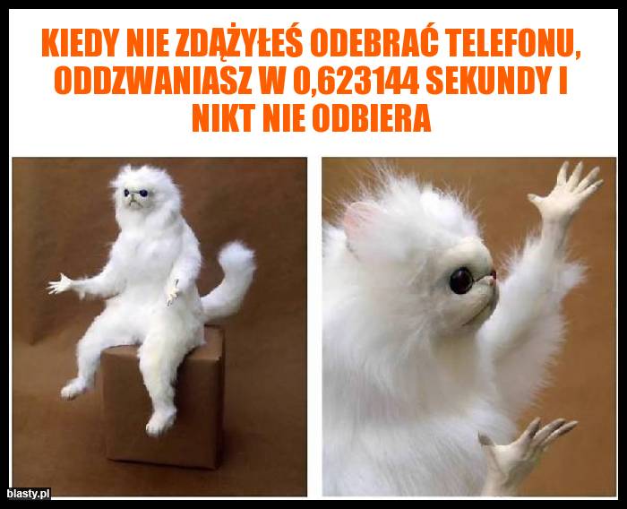 Kiedy nie zdążyłeś odebrać telefonu, oddzwaniasz w 0,623144 sekundy i nikt nie odbiera