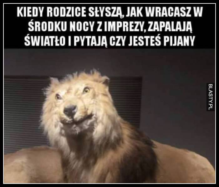 Kiedy rodzice słyszą, jak wracasz w środku nocy z imprezy, zapalają światło i pytają czy jesteś pijany