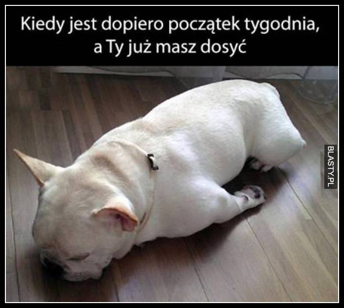 Kiedy to dopiero początek tygodnia a Ty już masz dosyć