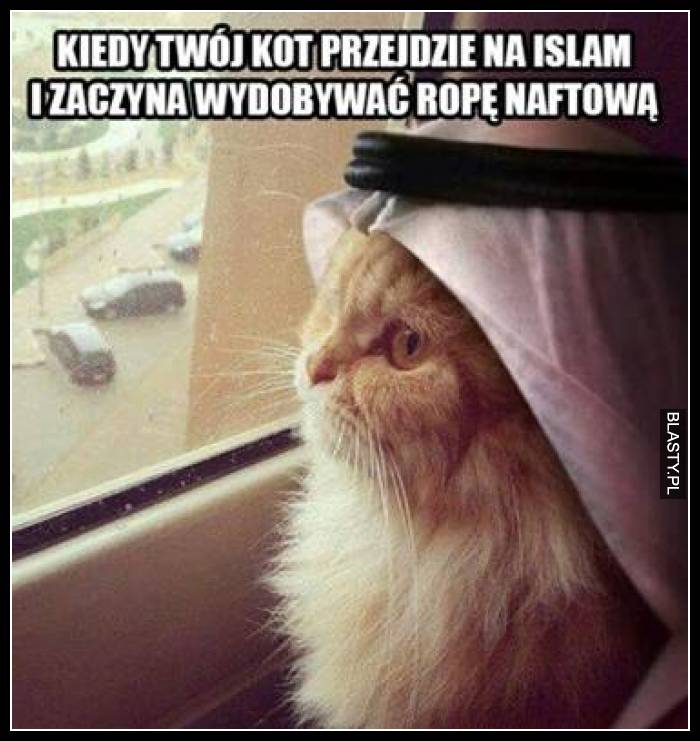 Kiedy Twój kot przejdzie na Islam i zaczyna wydobywać ropę naftową