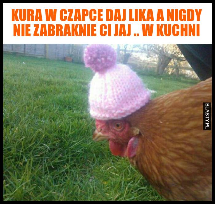 Kura w czapce daj lika a nigdy nie zabraknie Ci jaj .. w kuchni