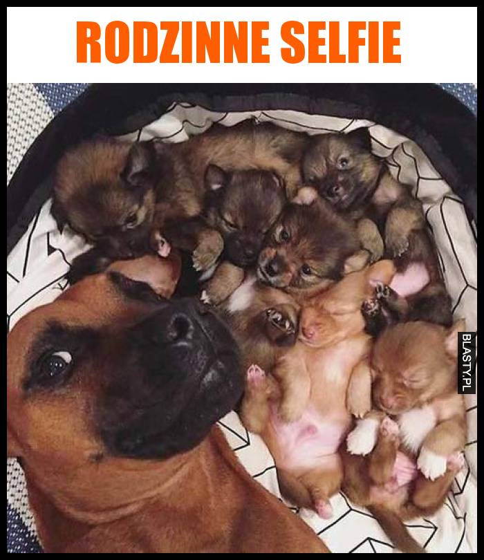 Rodzinne selfie